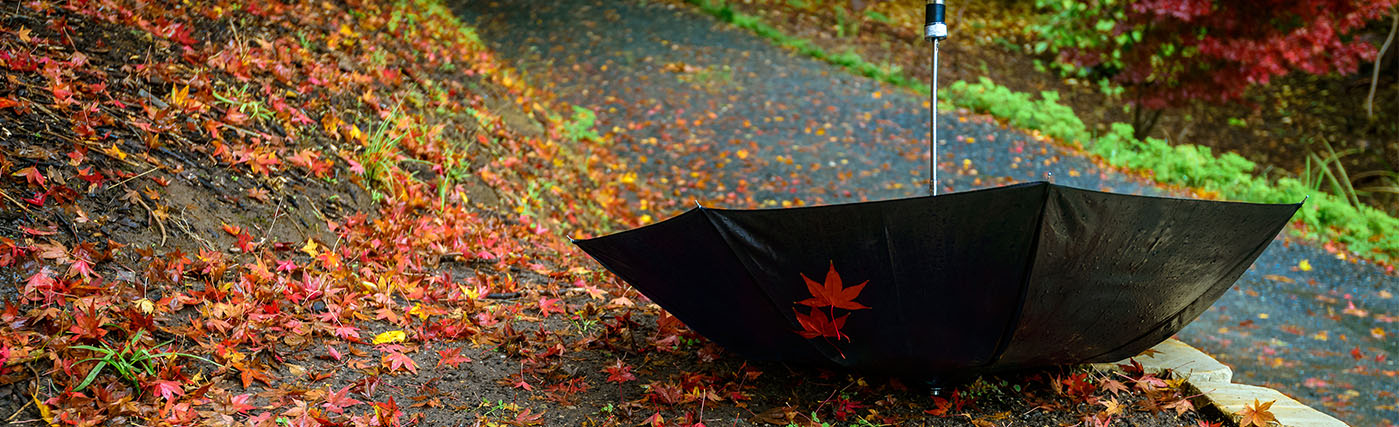 Churchill Knight blog leaving umbrella company